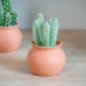 Cactus pot terracotta