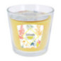 Bougie 3 meches verre citron