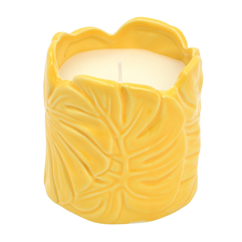 Bougie citronnelle pot palmes
