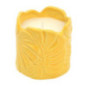 Bougie citronnelle pot palmes