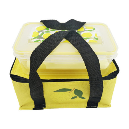 Sac isotherme + boite + pack de