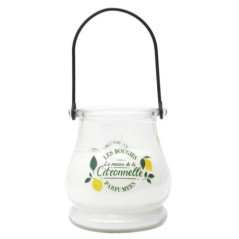 Bougie citronnelle led color cha