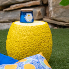 Porte plante citron