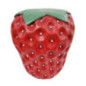 Porte plante fraise