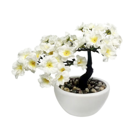 Bonsai en fleurs
