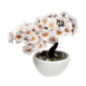 Bonsai en fleurs