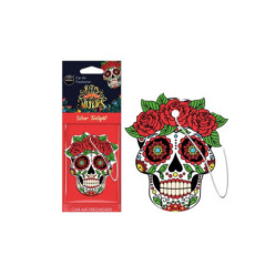 Dia de los muertos silver